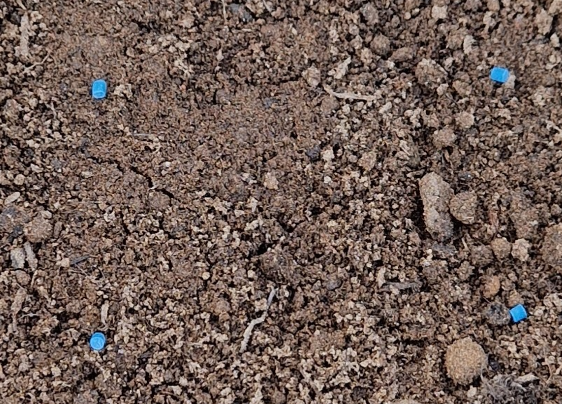 four-slug-pellets-on-soil